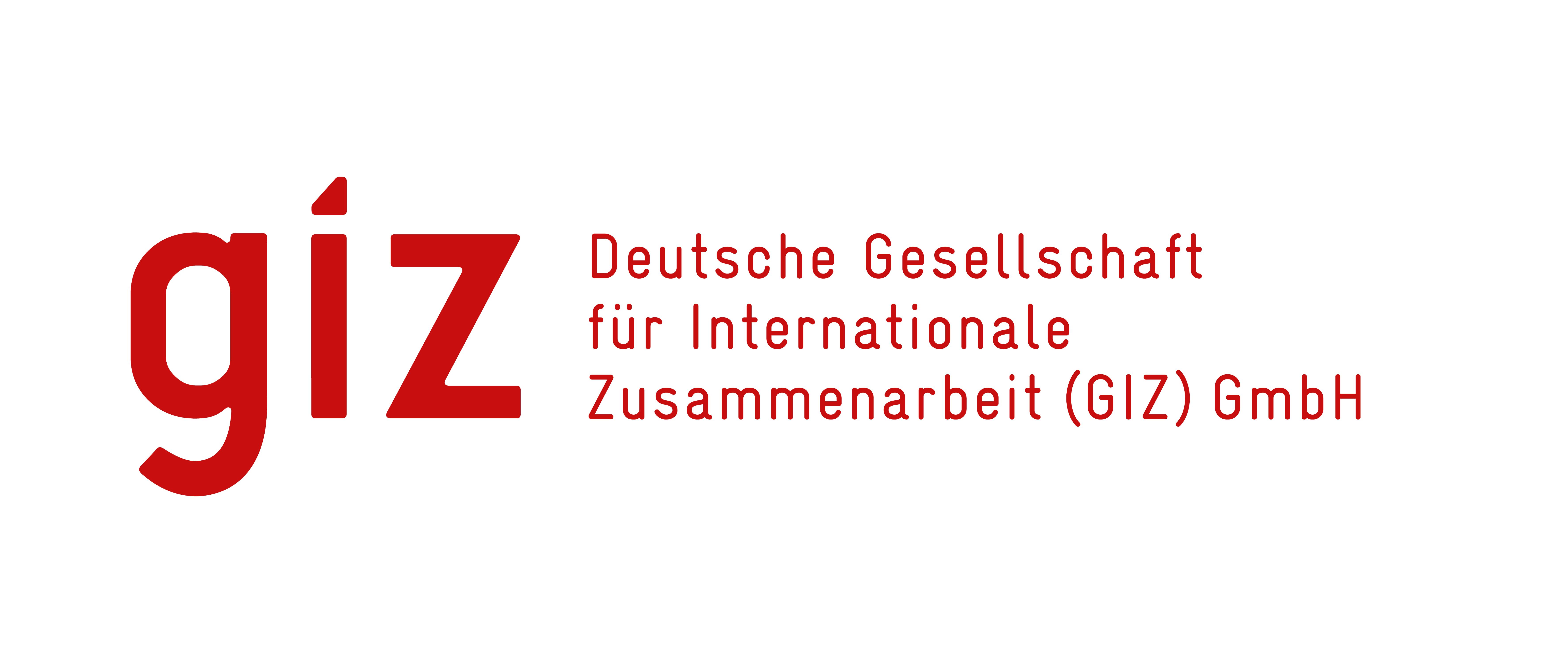 Logo of the giz GmbH
